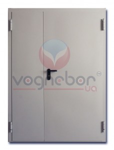 Двери противопожарные металлические двупольные сплошные и застекленные класс огнестойкости EI 60